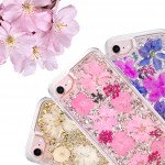 Wholesale iPhone 8 Plus / 7 Plus / 6S Plus / 6 Plus Luxury Glitter Dried Natural Flower Petal Clear Hybrid Case (Rose Gold Purple)